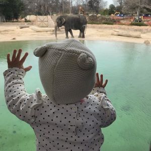 Meet your Posher, Bailey